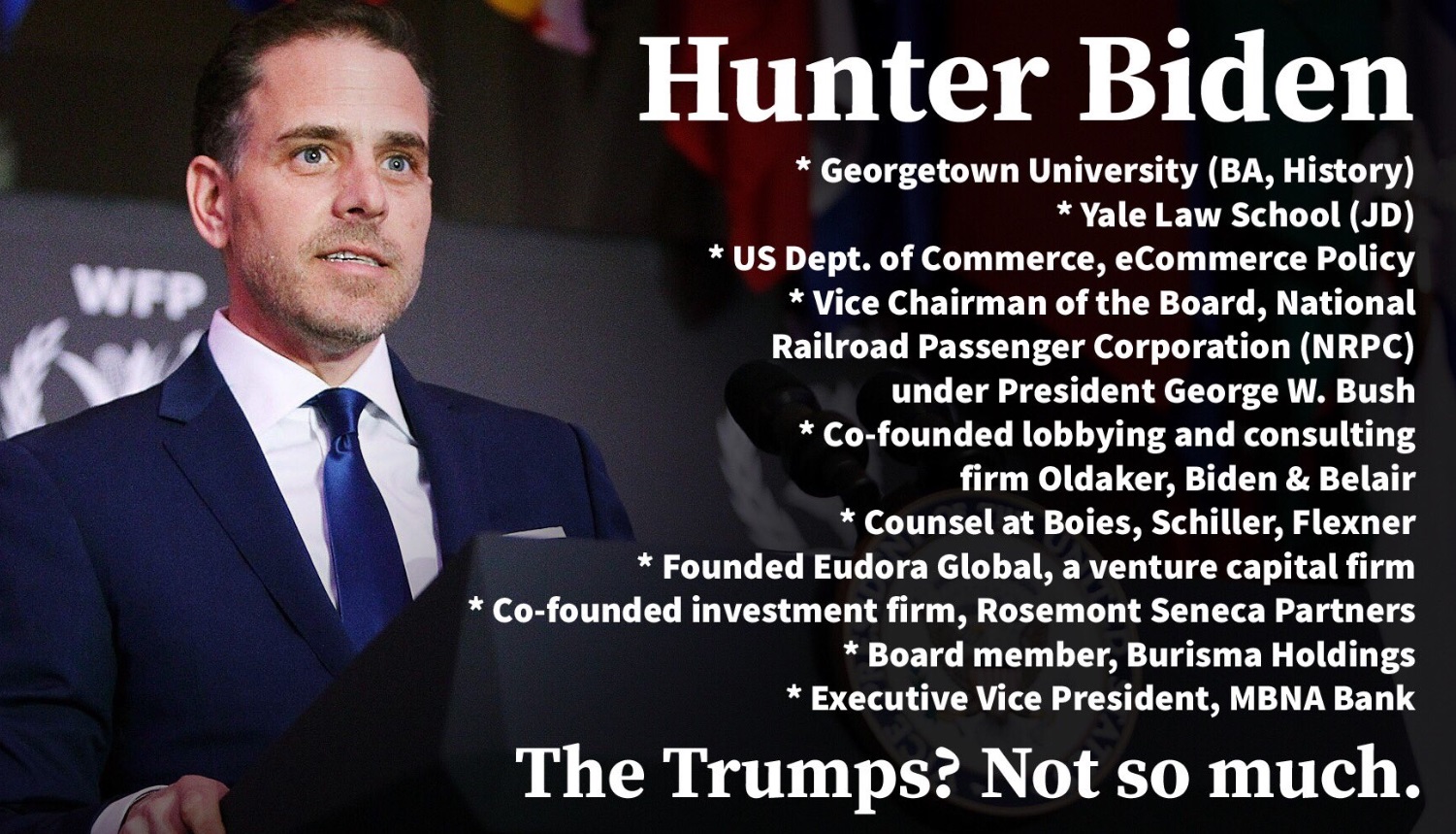 PHOTO List Of Hunter Biden's Achievements