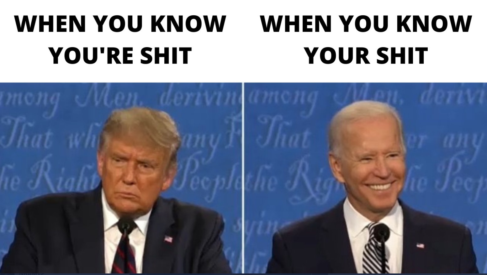 PHOTO When You Know You're Shit Donald Trump Meme