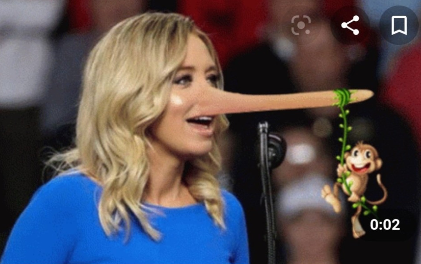 PHOTO A Monkey Hanging Off Kayleigh McEnany's Nose