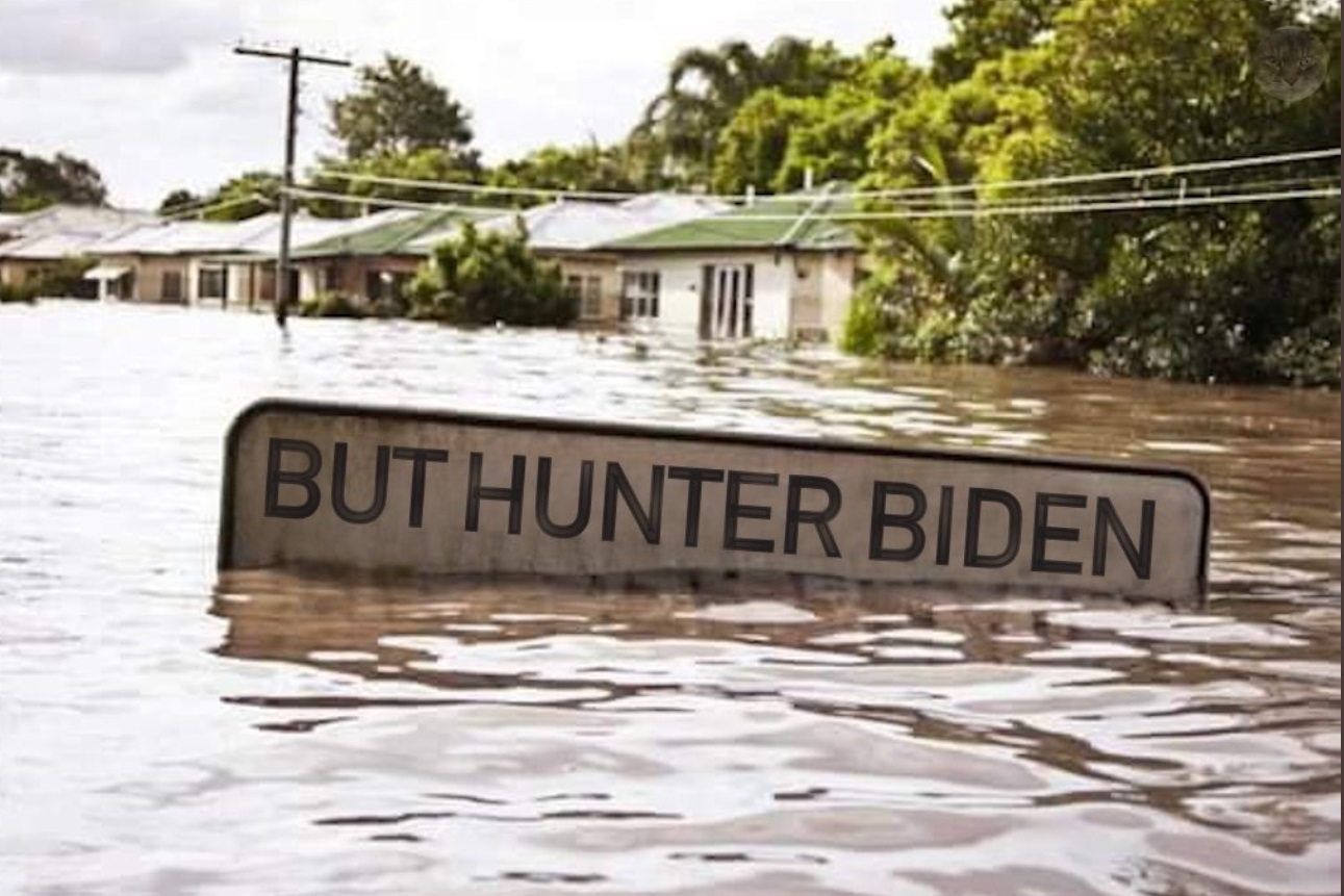 PHOTO But Hunter Biden Sign Sinking In Floodwaters