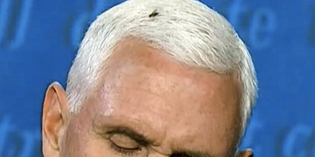 PHOTO Close Up Of Fly That Landed On Mike Pence's Head