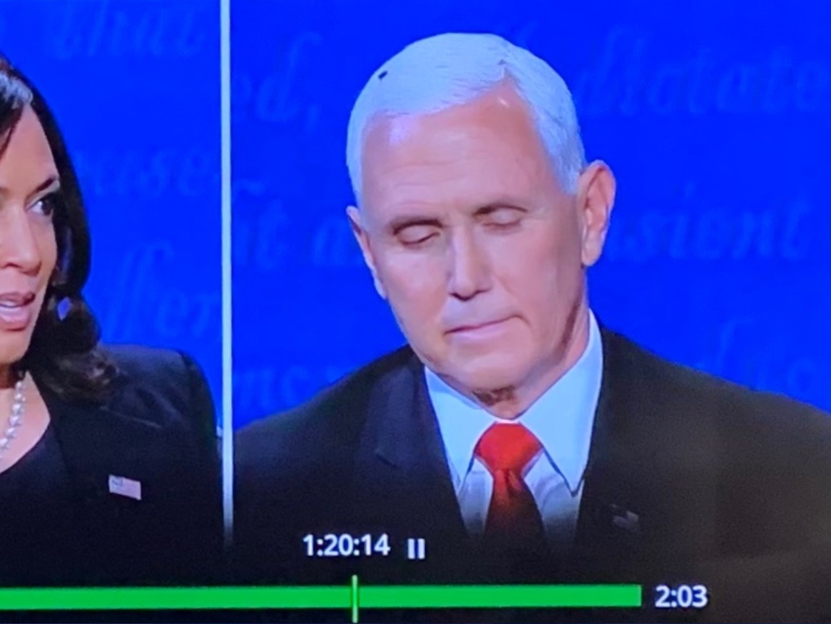 PHOTO DVR Rewind Shows Fly Was On Mike Pence's Head For Exactly 2 Minutes And Two Seconds 
