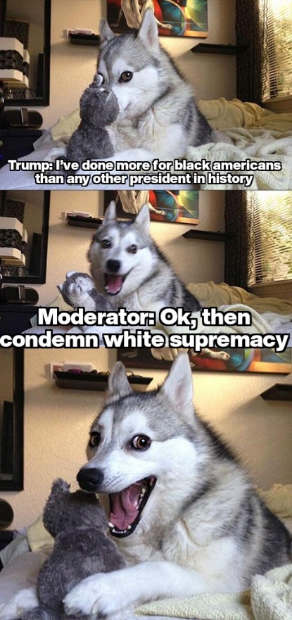 PHOTO Donald Trump Condenm Supremacy Dog Meme