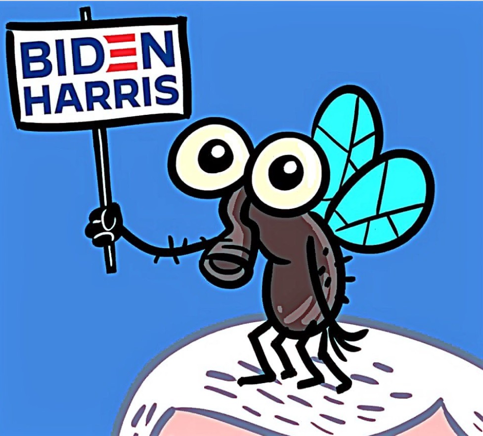 PHOTO Fly That Landed On Mike Pence's Head Holding Biden Harris Sign