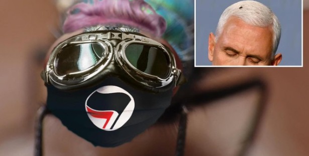 PHOTO Fly That Landed On Mike Pence's Head Is A Member Of Antifa