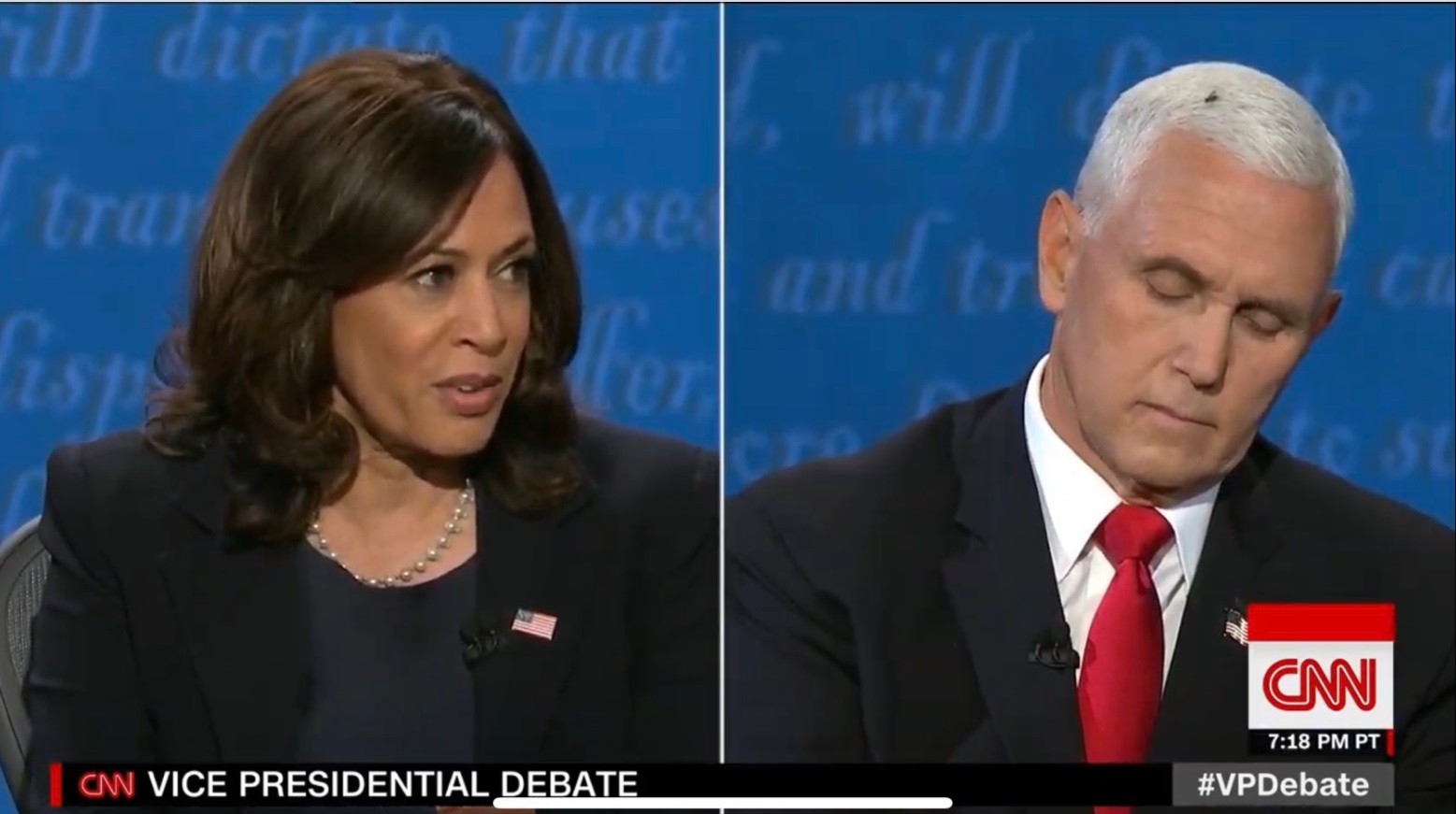 PHOTO Kamala Harris Looking At Fly On Mike Pence's Head Like Gross