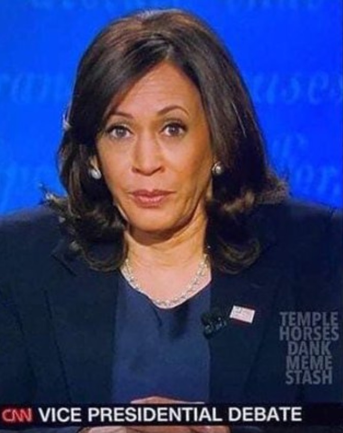 PHOTO Kamala Harris Looking Constipated