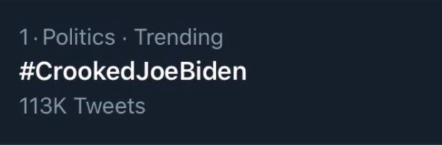 PHOTO Kayleigh McEnany Got Crooked Joe Biden Hashtag Trending