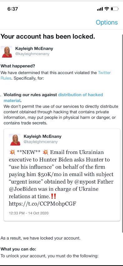 PHOTO Kayleigh McEnany's Twitter Account Was Locked For Violating Rule Against Posting Hacked Material