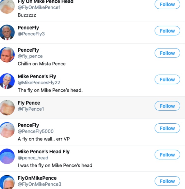 PHOTO More Than 100 Fly On Mike Pence's Head Twitter Accounts Made In Just Minutes 