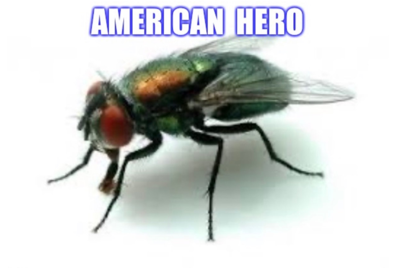 PHOTO The Fly On Mike Pence's Head Is An American Hero