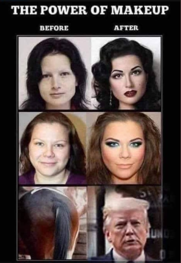 PHOTO The Power Of Makeup Donald Trump Meme