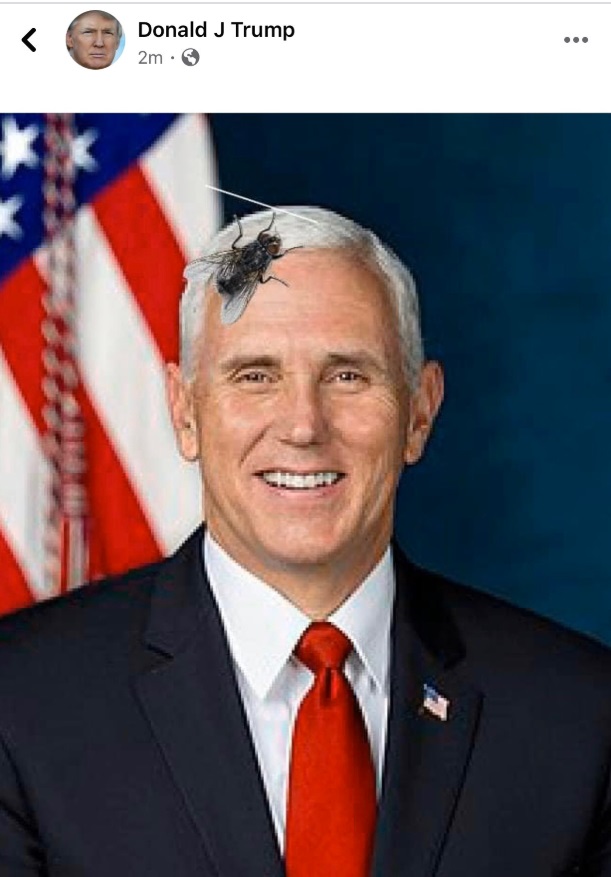 PHOTO What The Fly On Mike Pence's Head Looked Like To Donald Trump