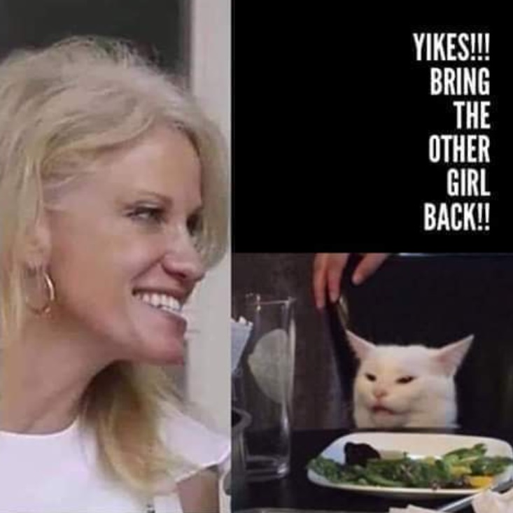 PHOTO Yikes Bring The Other Girl Back Kellyanne Conway Meme