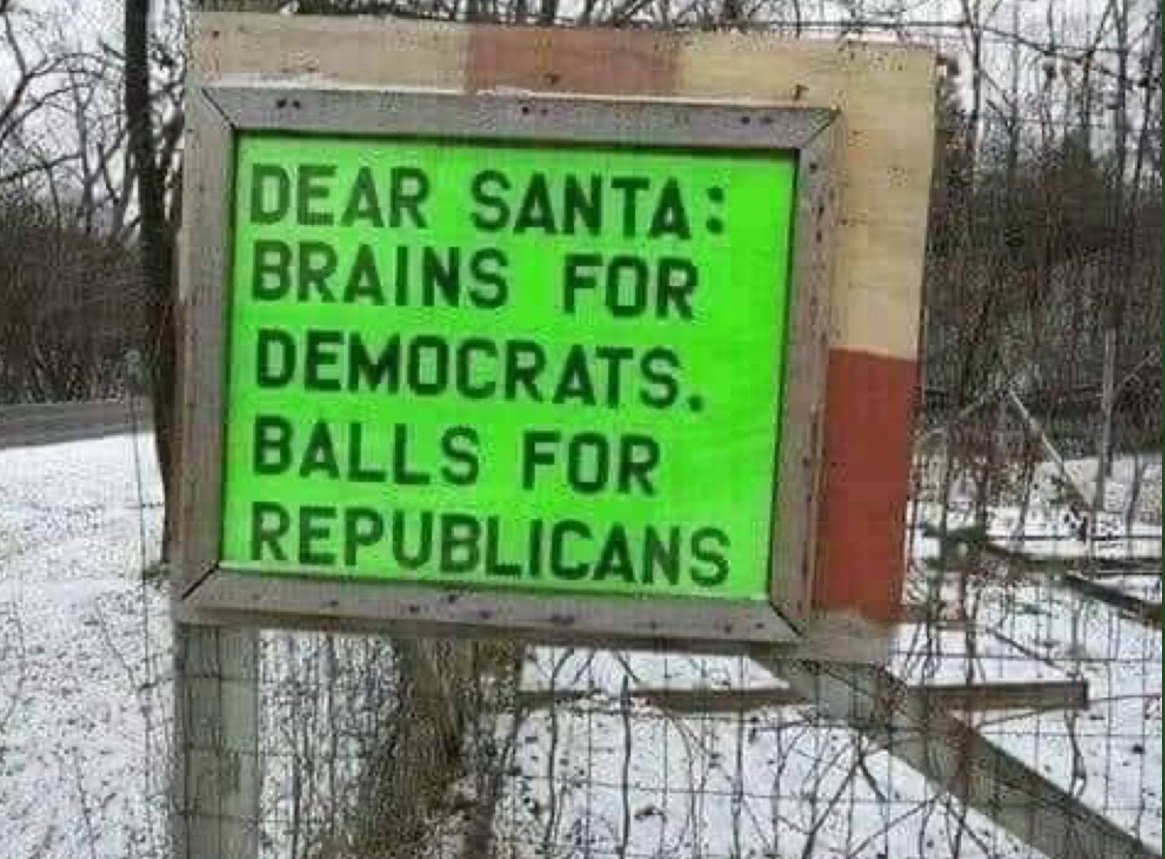 PHOTO Dear Santa Brains For Democrats Balls For Republicans Sign