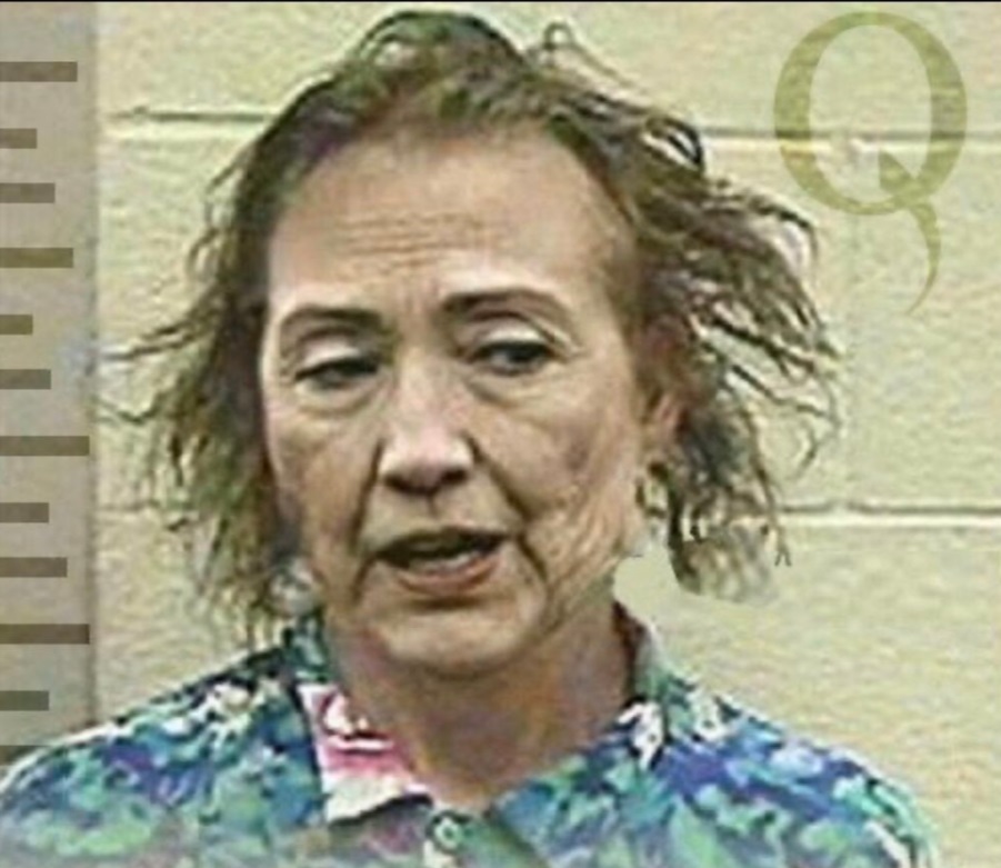 PHOTO Hillary Clinton In Hawaiian Shirt Mug Shot