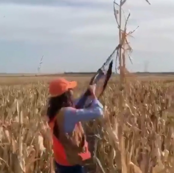 PHOTO Krisi Noem Shooting A Gun In A Cornfield