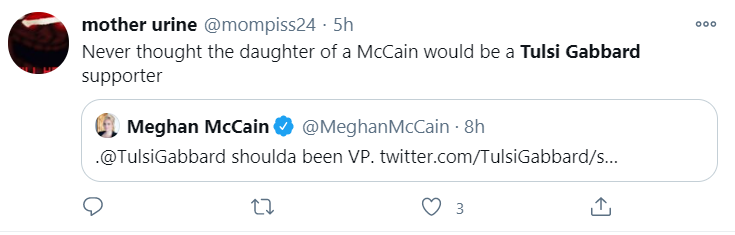 PHOTO Meghan McCain Wants Tulsi Gabbard To Be Vice President of The United States