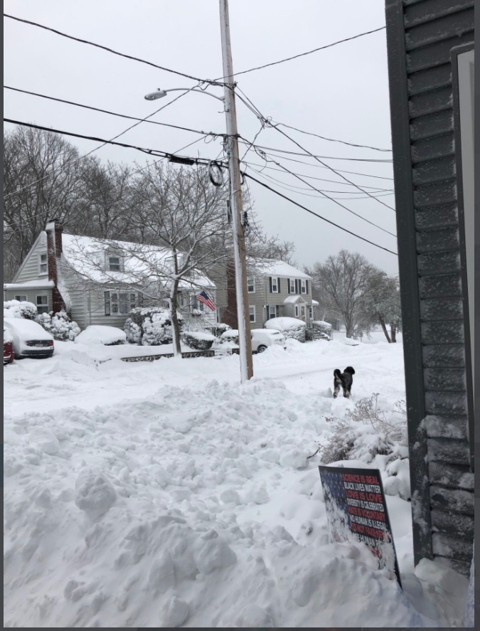 PHOTO Multiple Feet Of Snow In Massachusetts