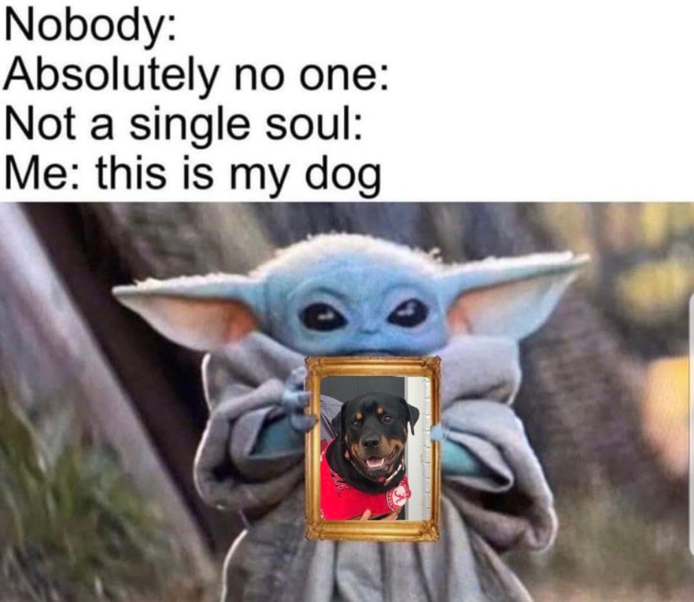 PHOTO Nobody Saying Anything Me This Is My Dog Baby Yoda Meme