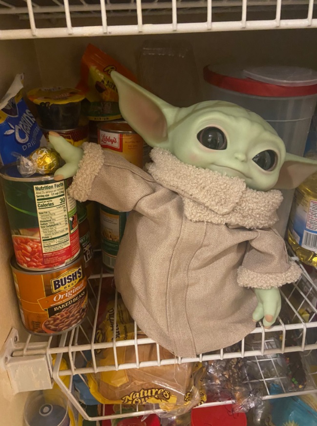 PHOTO People Are Putting Baby Yoda's In Their Fridges