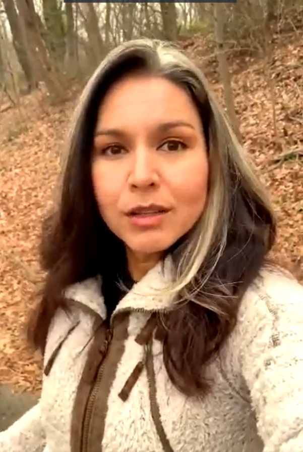 PHOTO Tulsi Gabbard Dyed Part Of Her Hair Blonde