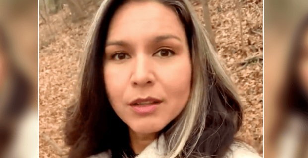 PHOTO Tulsi Gabbard Facetiming From A Heavily Wooded Forest