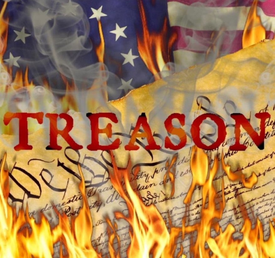 PHOTO Constitution Going Up In Flames Treason Meme