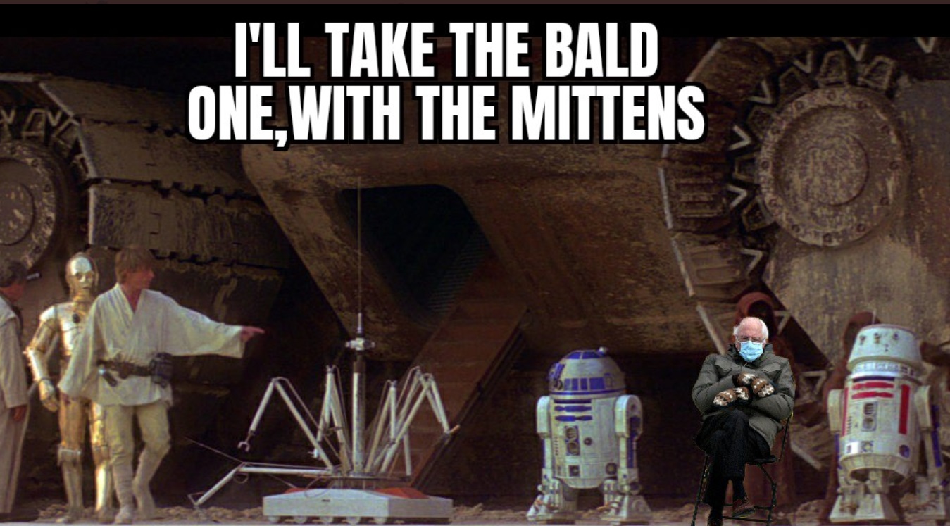 PHOTO I'll Take The Bald One With The Mittens Bernie Sanders Star Wars Meme