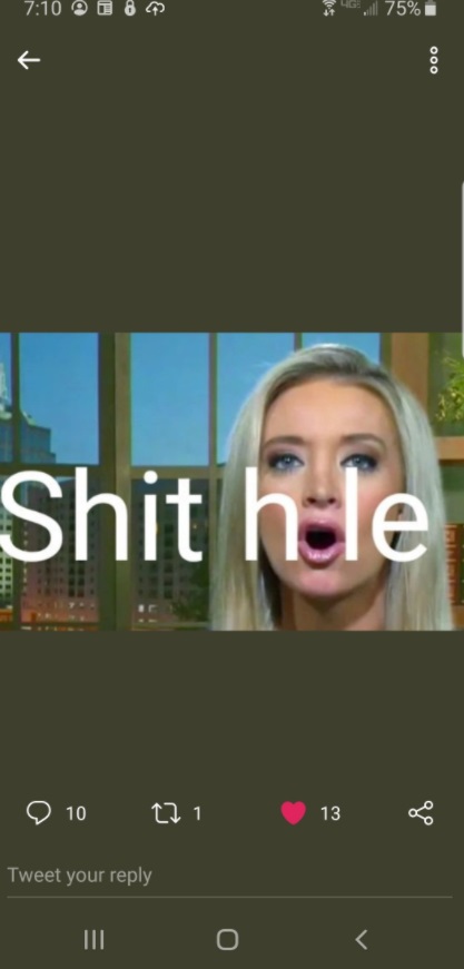 PHOTO Kayleigh McEnany Sh*tHole Meme