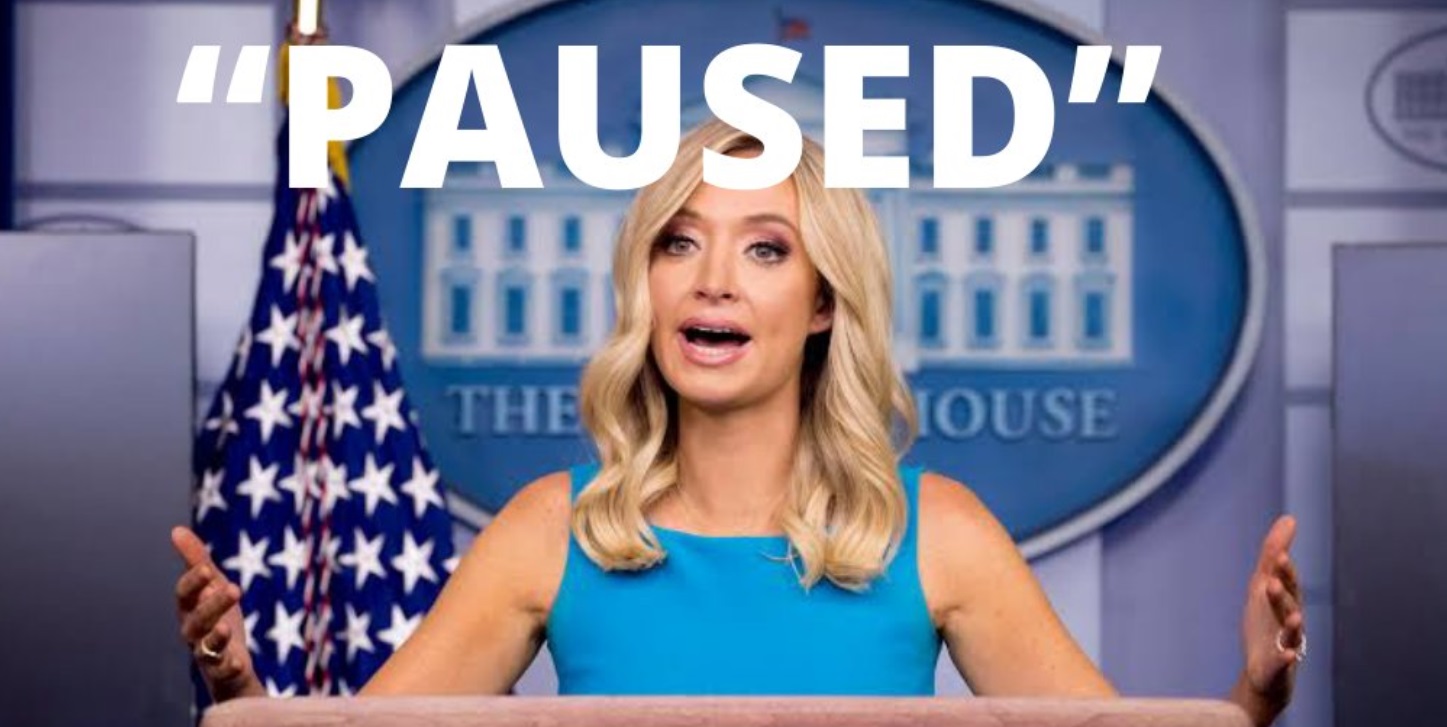 PHOTO Kayleigh McEnany's Paused Employment With Fox Meme