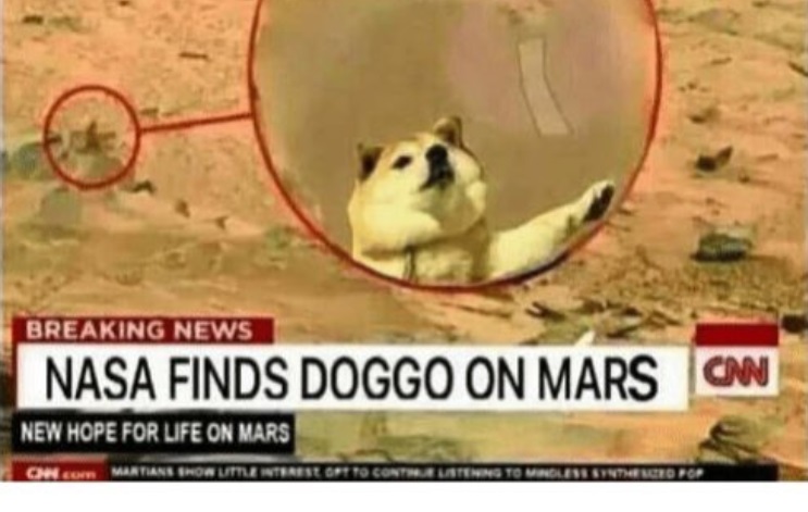 PHOTO NASA Finds Doggo On Mars Dogecoin Meme