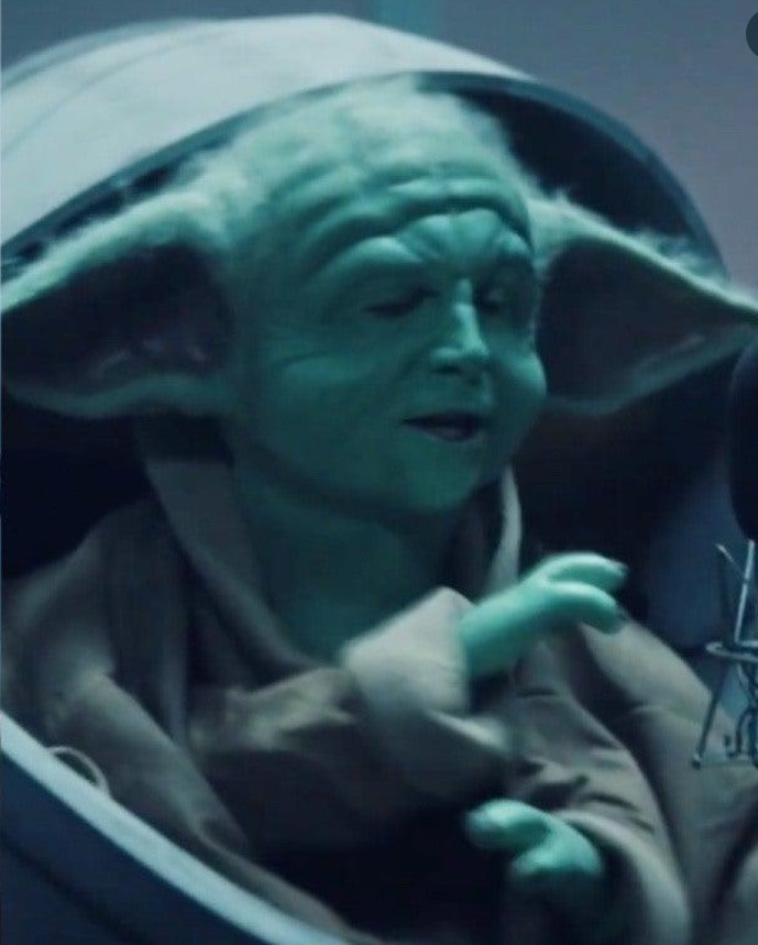 PHOTO Baby Yoda With Joe Biden's Face