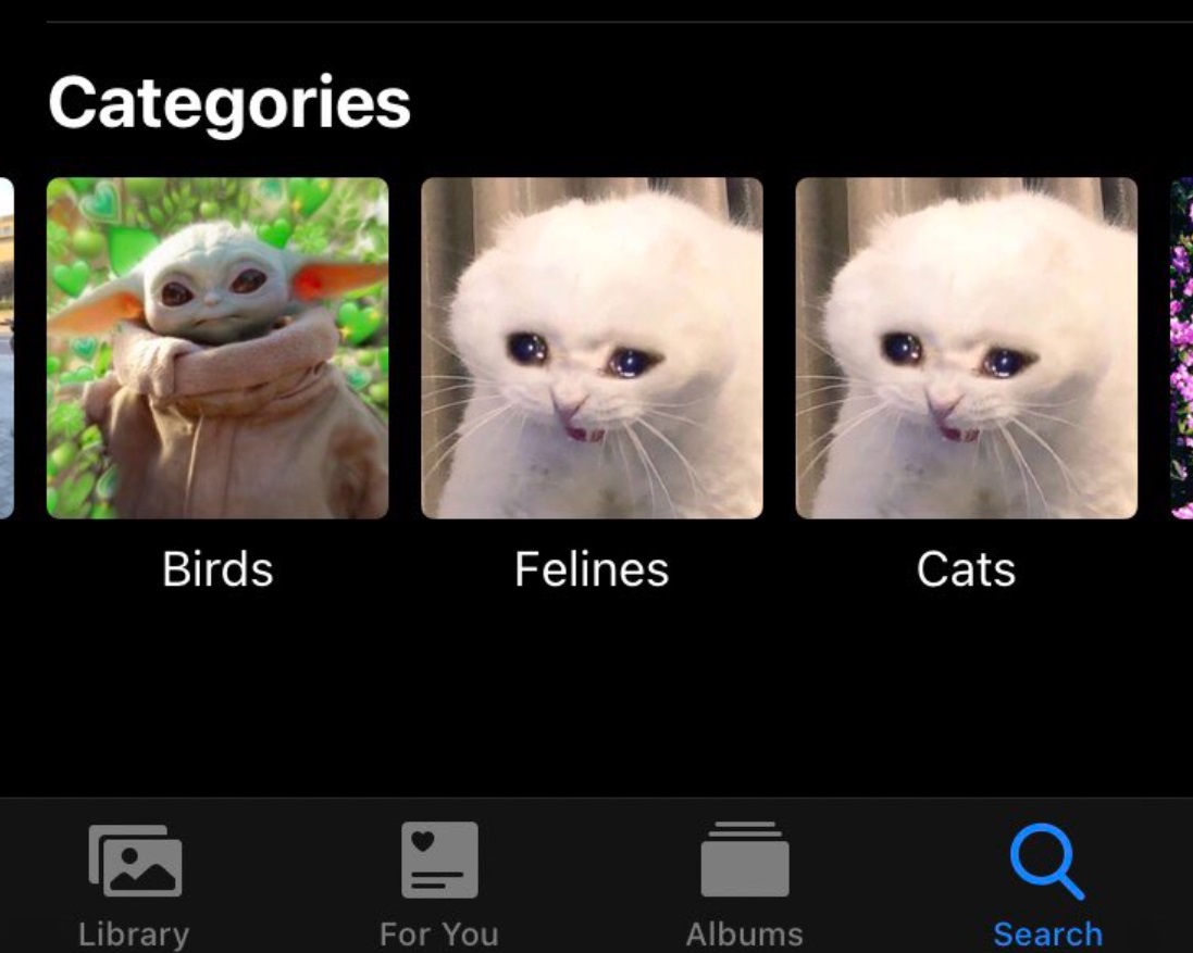 PHOTO iPhones Picture Library Thinks Baby Yoda Is A Bird