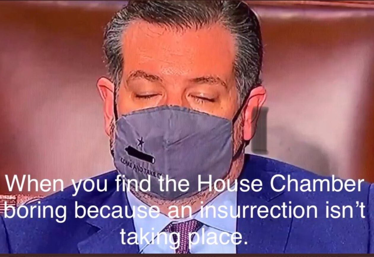 PHOTO When You Find The House Chamber Boring Because An Insurrection Isn't Taking Place Ted Cruz Meme