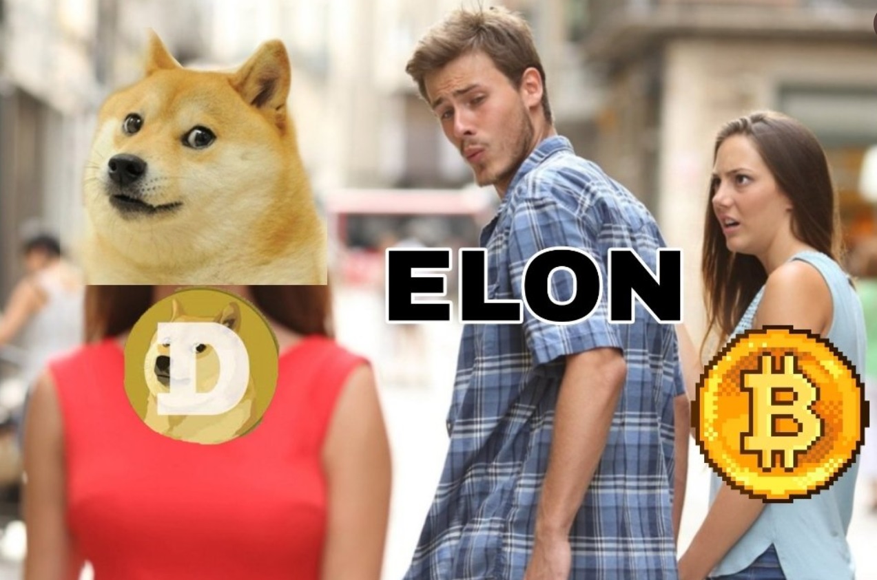 PHOTO Elon Musk Checking Out The Dogecoin Lady After Dumping Bitcoin Meme