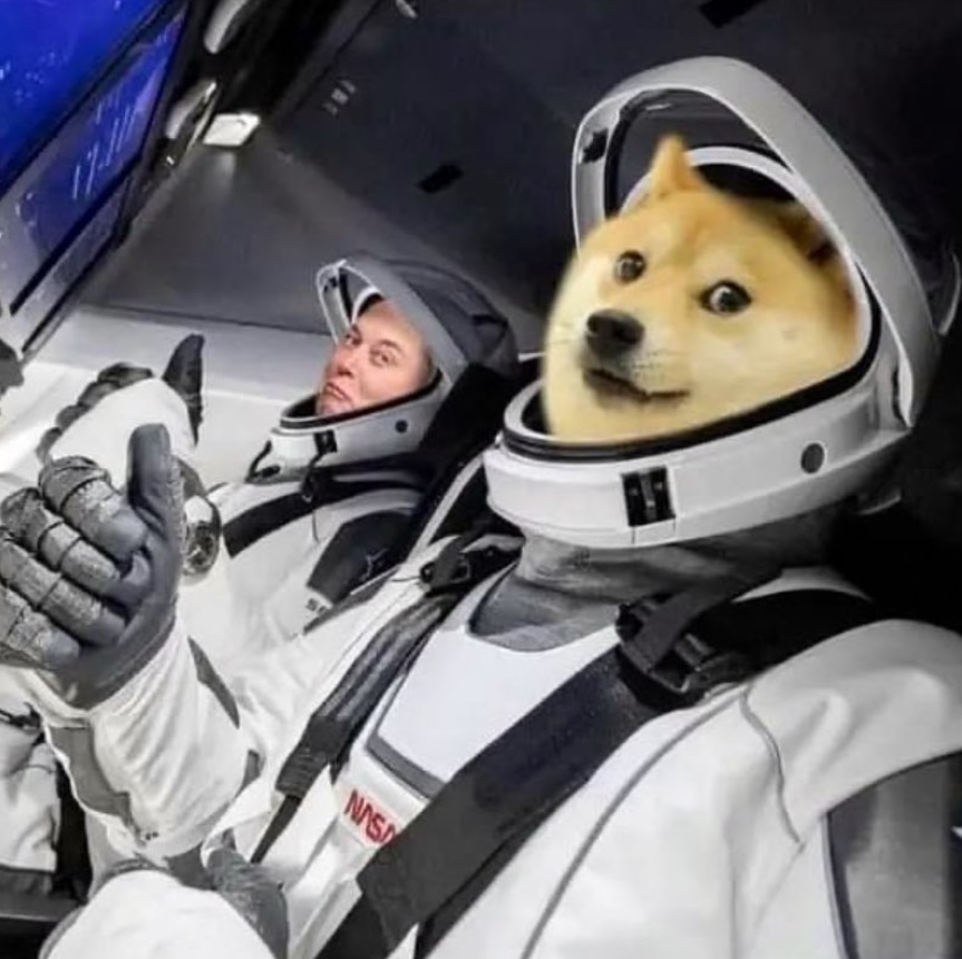 PHOTO Elon Musk In SpaceX Rocket With Dogecoin Dog Aboard