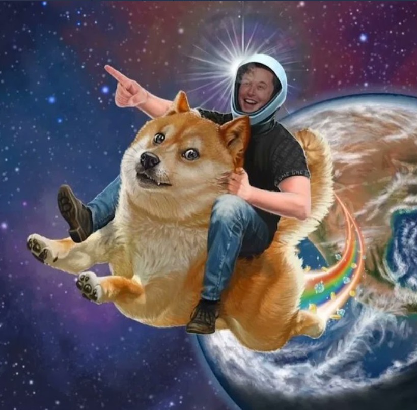 PHOTO Elon Musk Literally Riding Dogecoin To The Moon