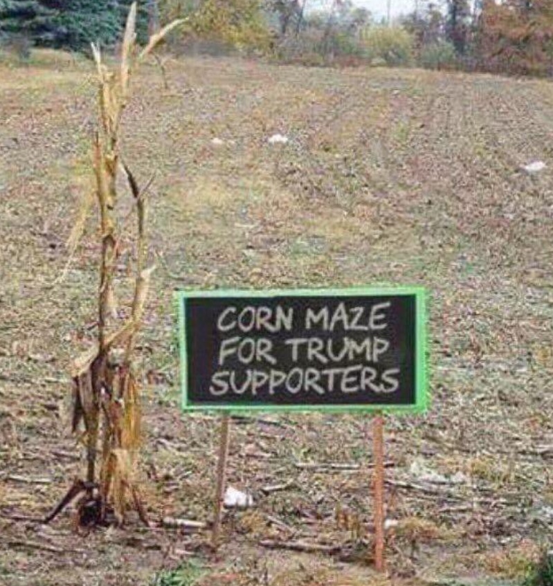 PHOTO Corn Maze For Trump Supporters Sign Spotted At US Mexico Border