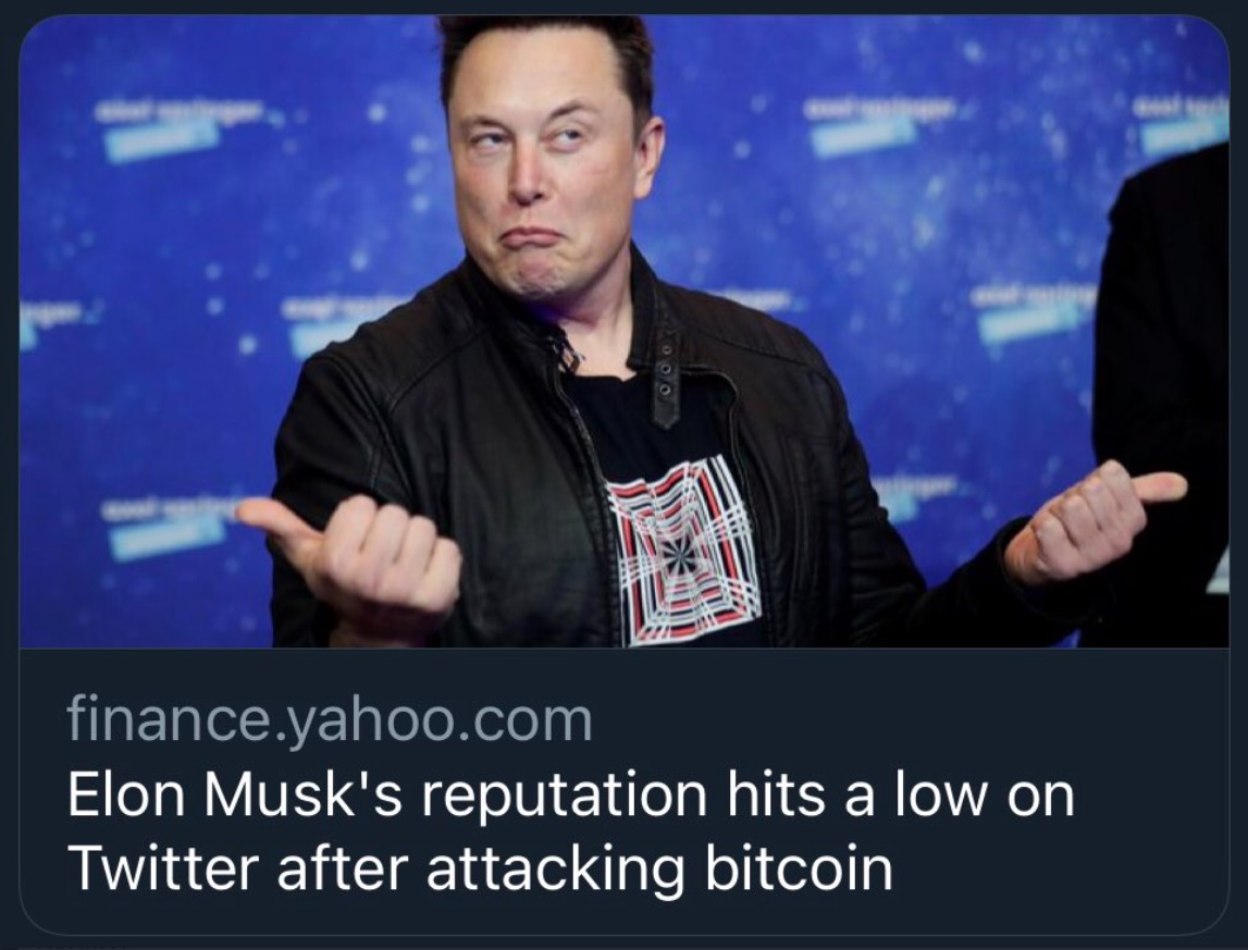 PHOTO Elon Musk's Reputation Takes Big Hit For Attacking Bitcoin