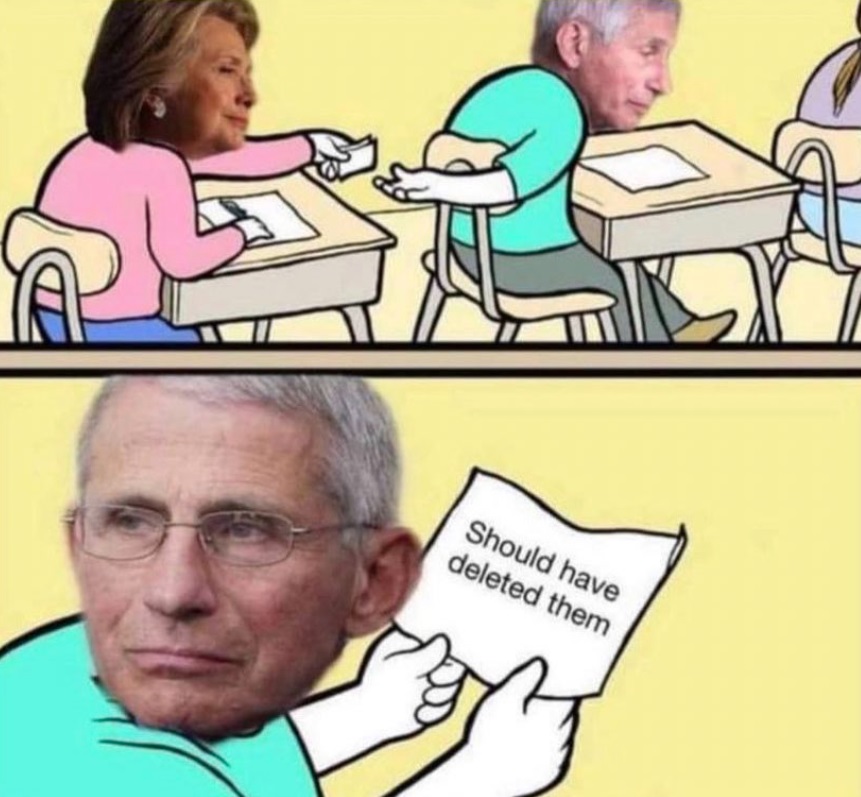 PHOTO Should Have Deleted Them Anthony Fauci Hillary Clinton Meme