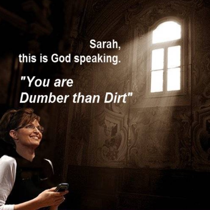 PHOTO Sarah Palin This Is God Speaking You Are Dumber Than Dirt Meme