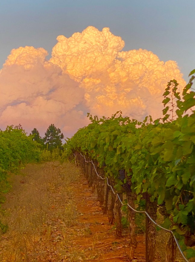 PHOTO Apple Hill Is A Scary Scene From The Caldor Fire