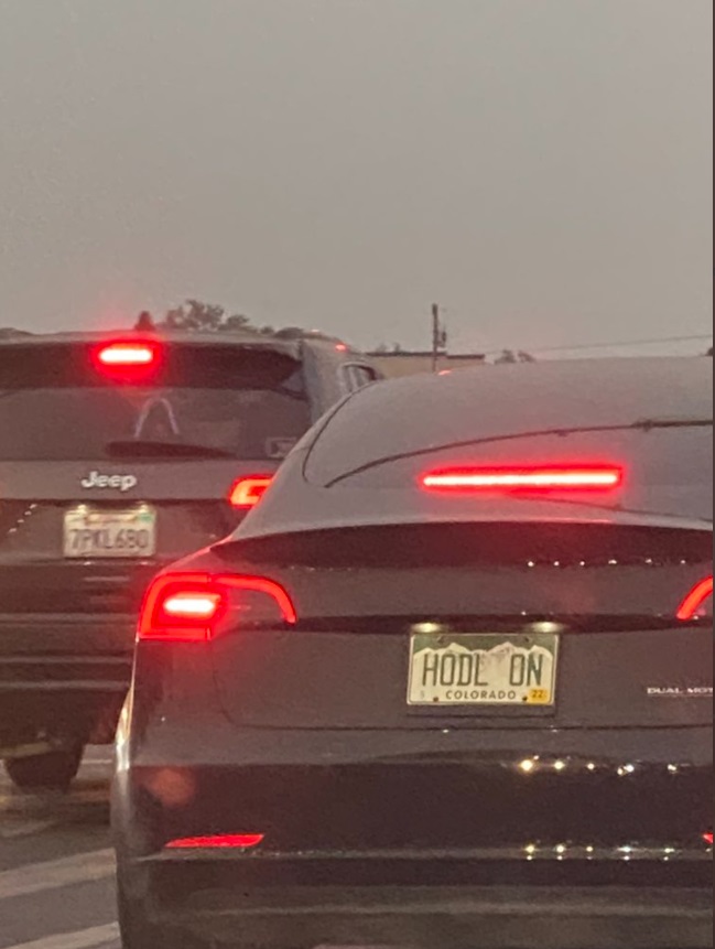 PHOTO Dude Driving Tesla In Colorado Paying Homage To Elon Musk With Plate That Says Hodl On