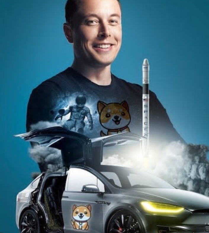 PHOTO Elon Musk Has A Connection To Baby Doge