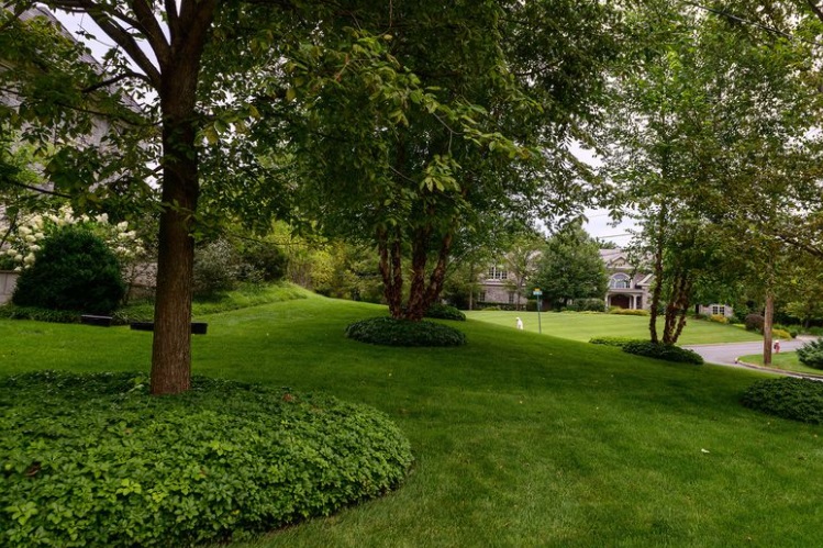 PHOTO Of Neighborhood Where Now Broke Bill Hwang Lives