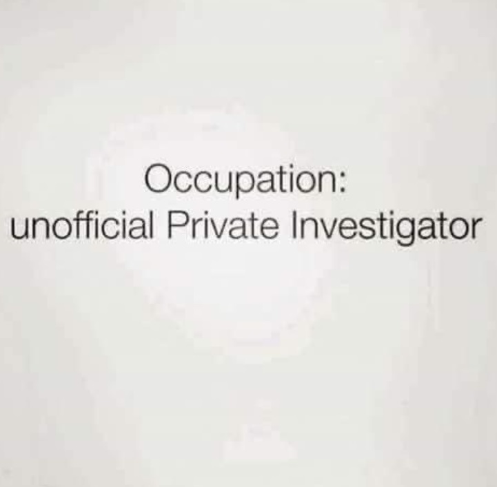 PHOTO All Of Us Following The Brian Laundrie Case Occupation Unofficial Private Investigator Meme