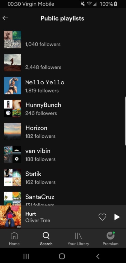 PHOTO Brian Laundrie Deleted Profile Picture Of One Of His Spotify Playlists At 1 AM ET Wednesday