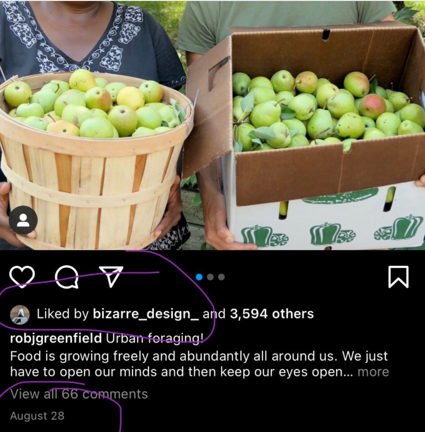 PHOTO Brian Laundrie Liked Picture Of Pears With The Caption Food Is Growing Freely We Just Have To Open Our Eyes After He Killed Gabby