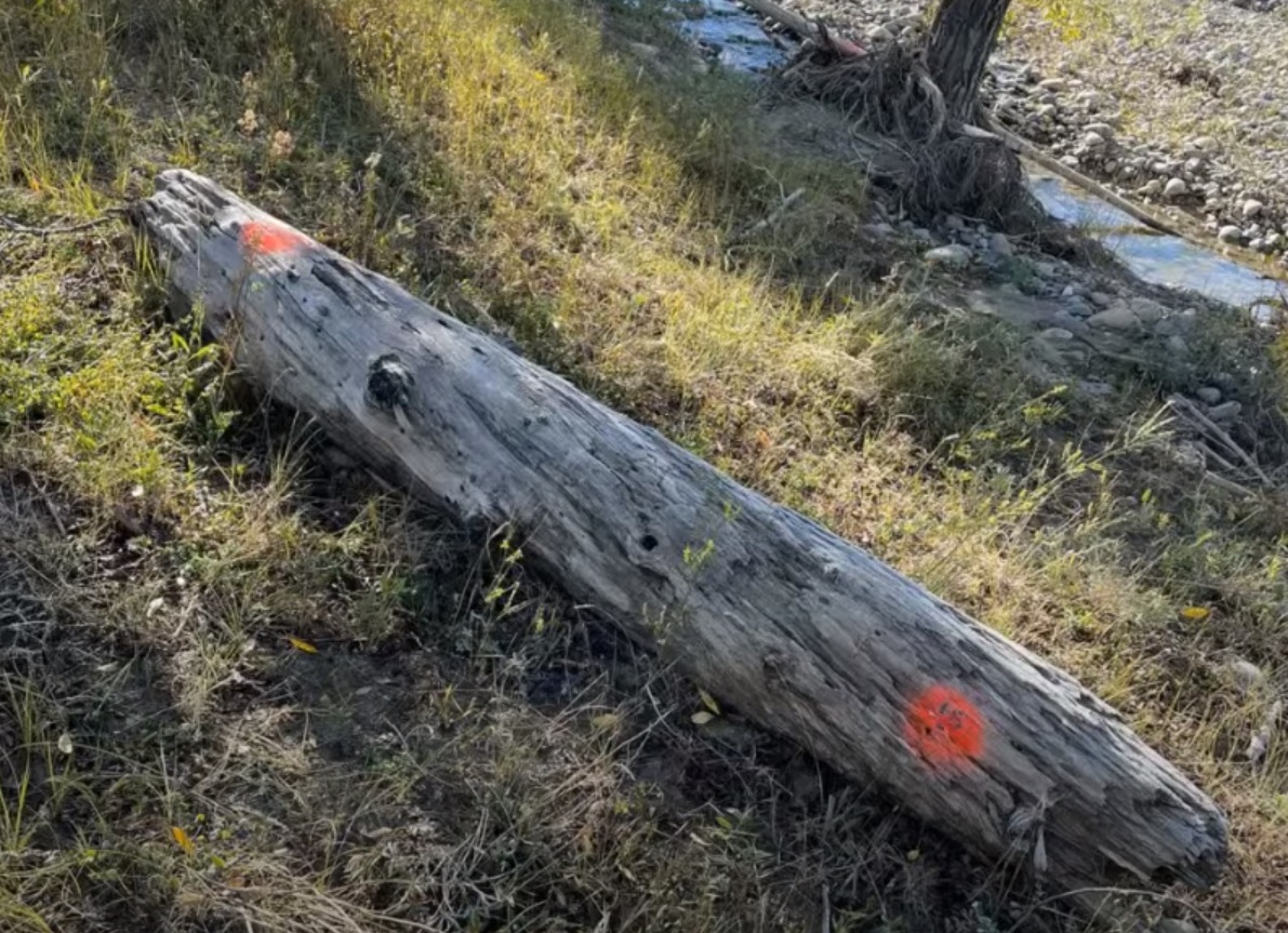 PHOTO Brian Laundrie Shot Giant Bullet Holes Into Wood At Grand Teton National Park